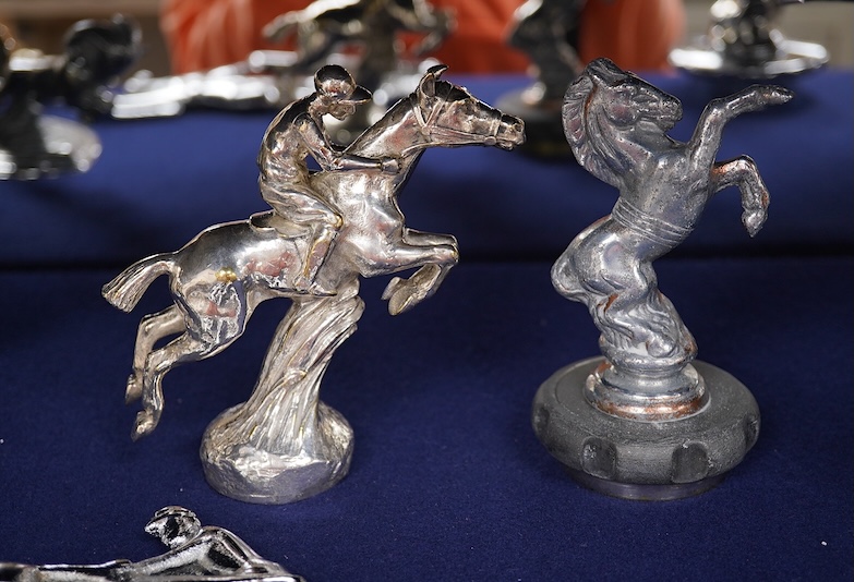 Seven brass and chrome animal related car mascots including; four horse related mascots, two Kangaroo mascots mounted on radiator caps and a leaping ram by Jarvis (no.1027). Condition - fair to good, some losses to chrom